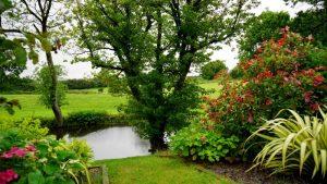 Establishing Trees and Shrubs - Level 4 - 4N0666 - QQI Course 