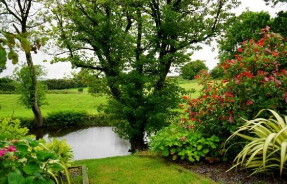 Establishing Trees and Shrubs - Level 4