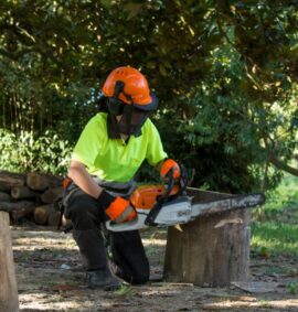 Chainsaw Operations - Level 5 training course