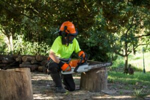 Chainsaw Operations - Level 5 - 5N3404 - QQI Course 