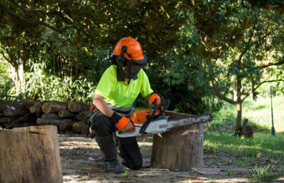 Chainsaw Operations - Level 5