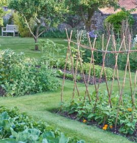 Growing Vegetables - Level 4 training course