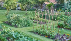 Growing Vegetables - Level 4 - 4N0671 - QQI Course 