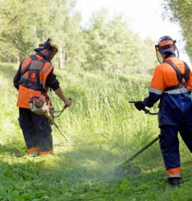 Safe Horticultural Practice - Level 4 training course