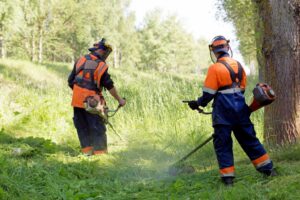 Safe Horticultural Practice - Level 4 - 4N0719 - QQI Course 