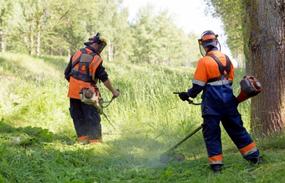 Safe Horticultural Practice - Level 4